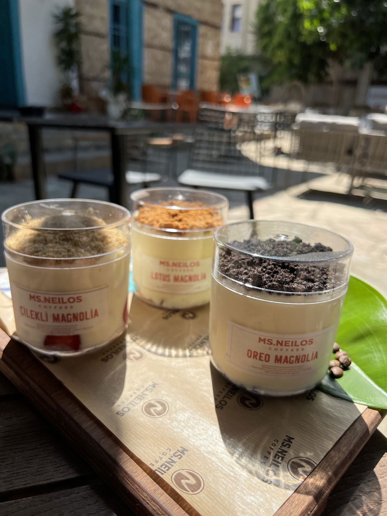 Ms. Neilos Coffees Alanya