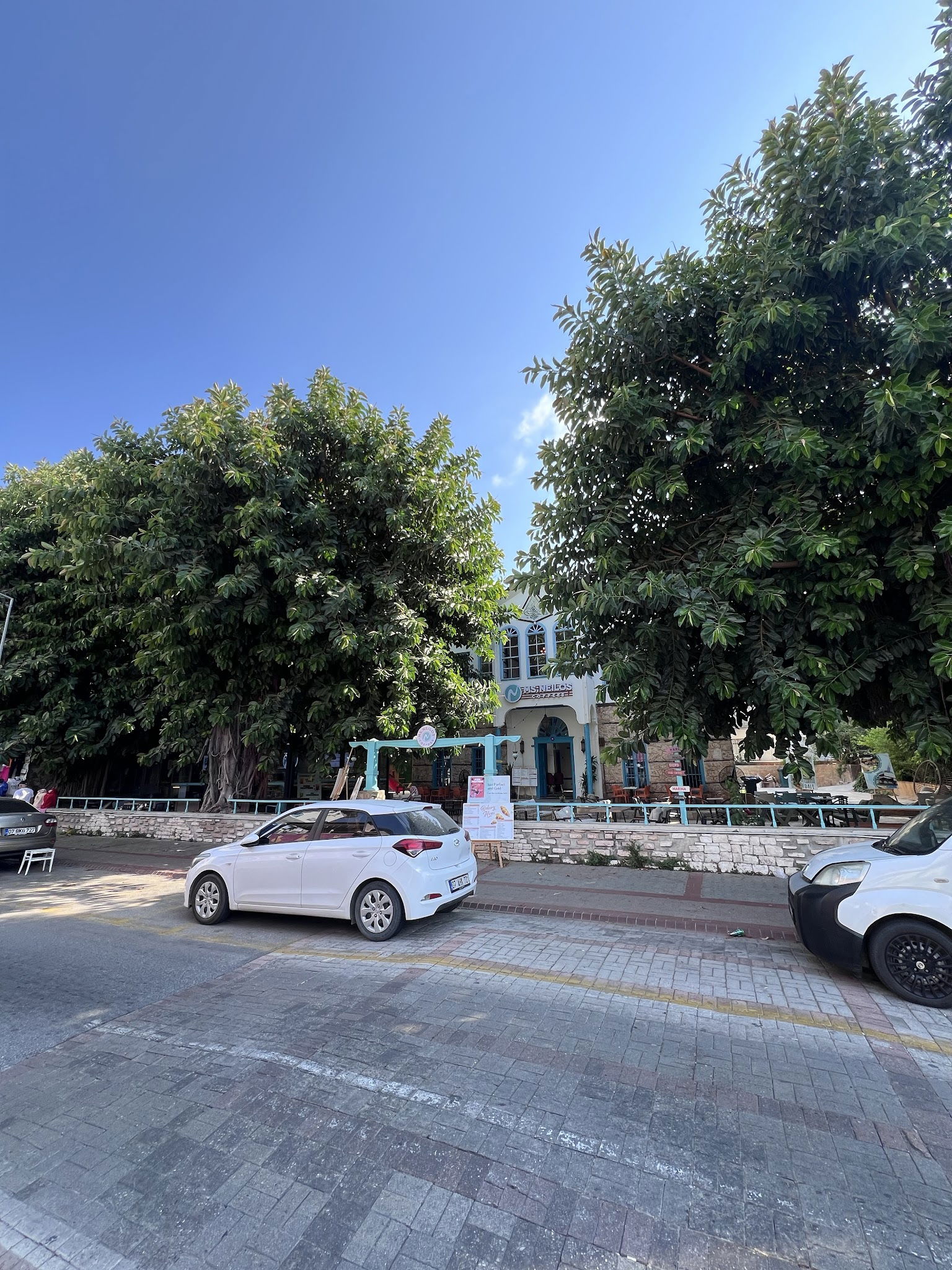 Ms. Neilos Coffees Alanya