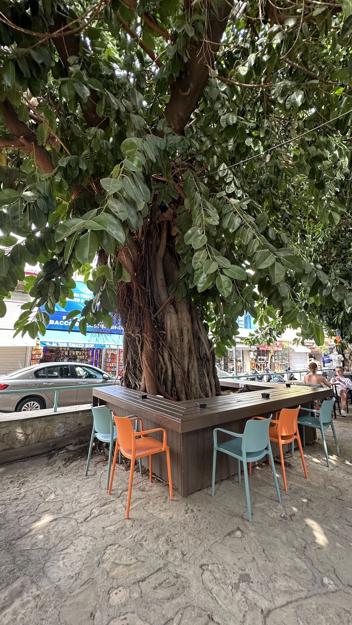 Ms. Neilos Coffees Alanya