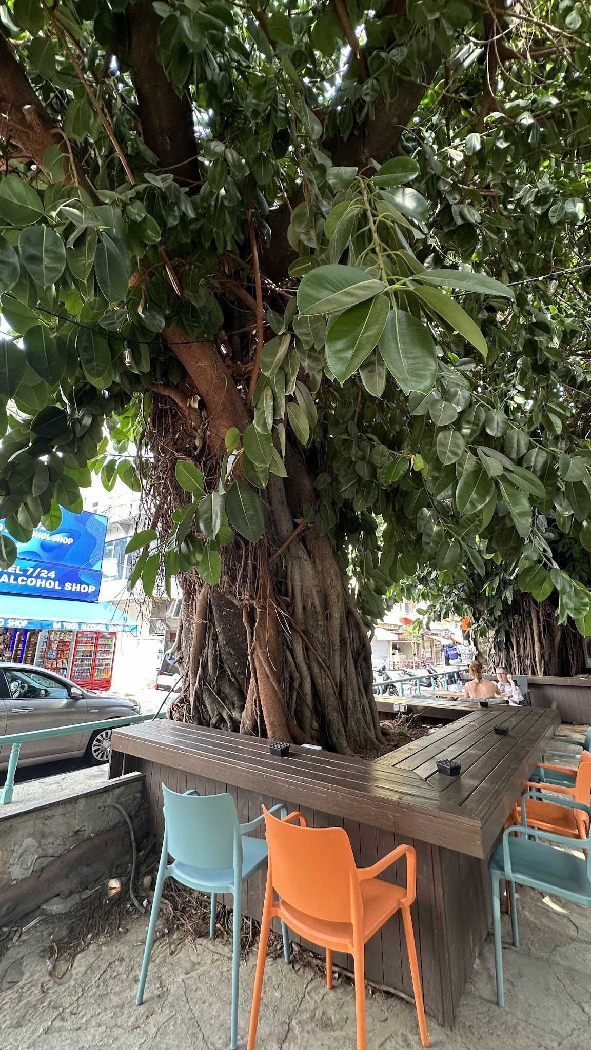 Ms. Neilos Coffees Alanya