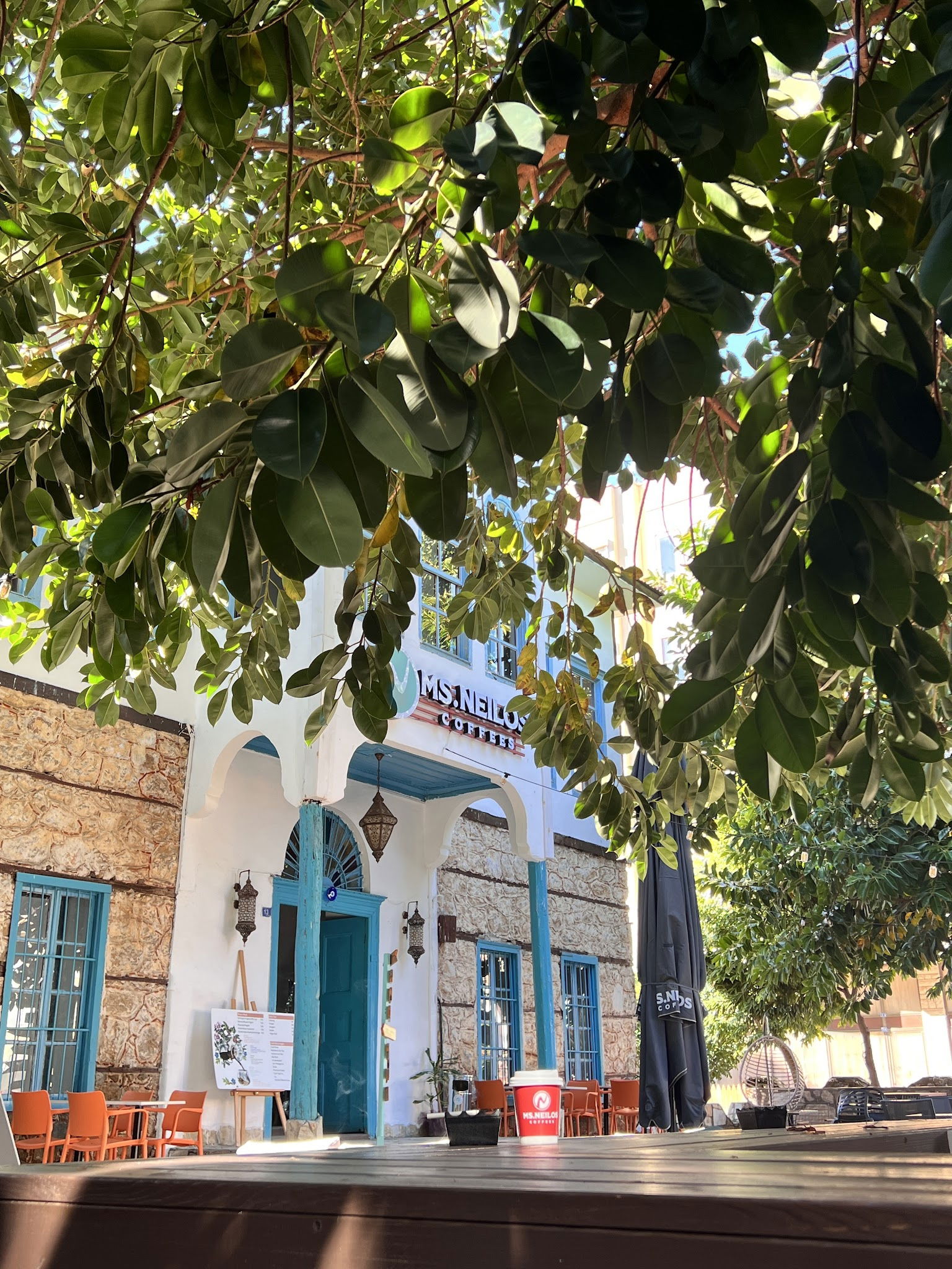 Ms. Neilos Coffees Alanya