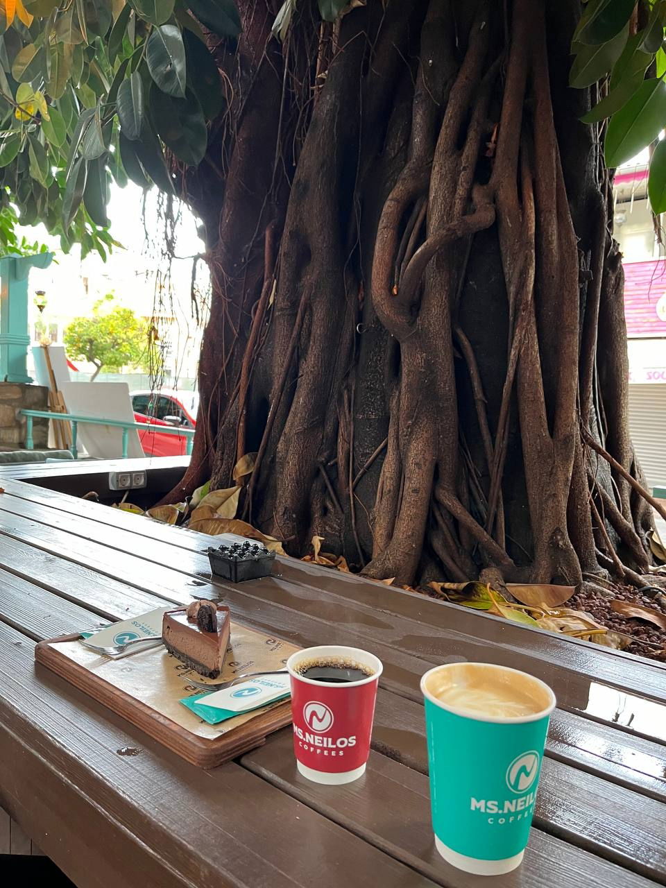 Ms. Neilos Coffees Alanya