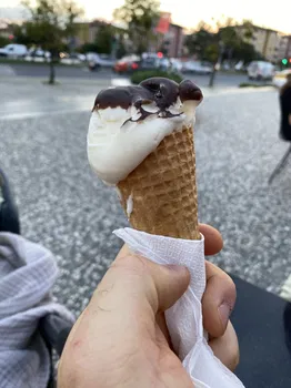 Lipa Dondurma Ve Cafe resimleri