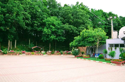 Saray Restaurant resimleri