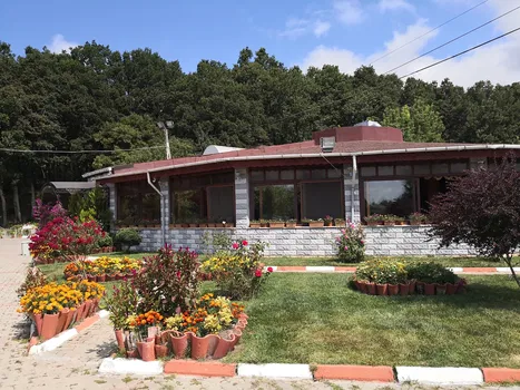 Saray Restaurant resimleri