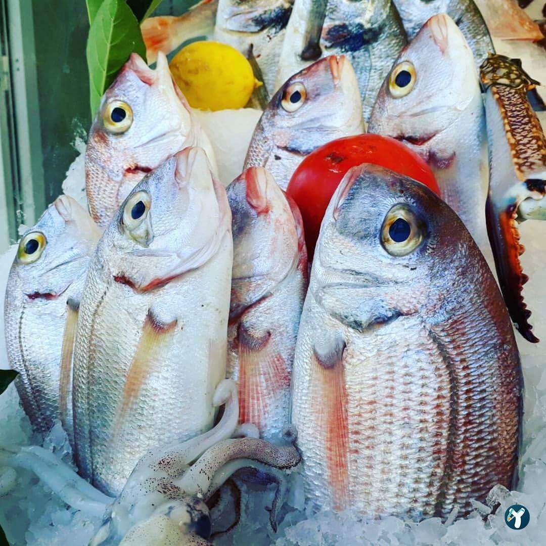 Usta Balık Ve Meze Evi