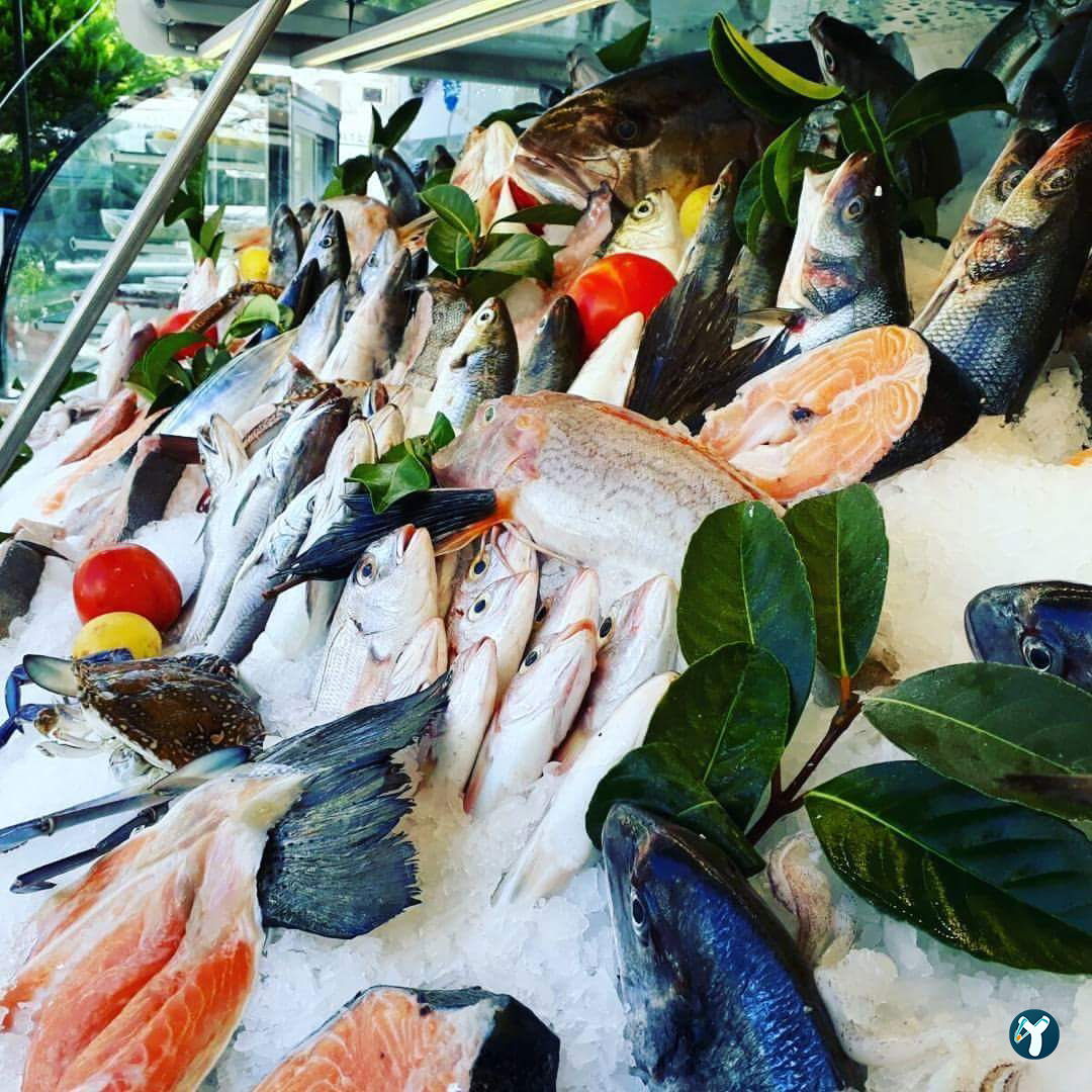 Usta Balık Ve Meze Evi