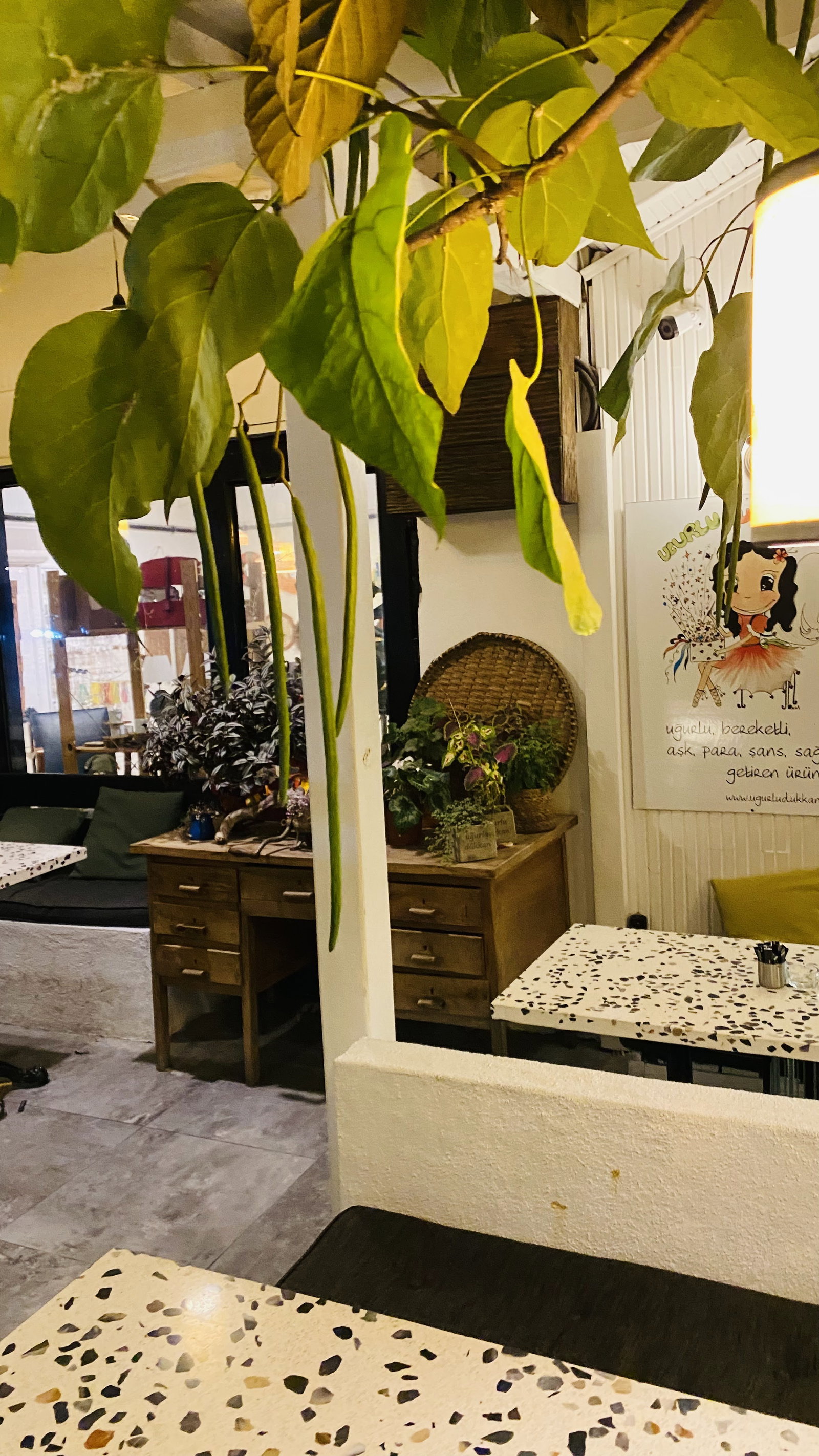 Lucky Shop