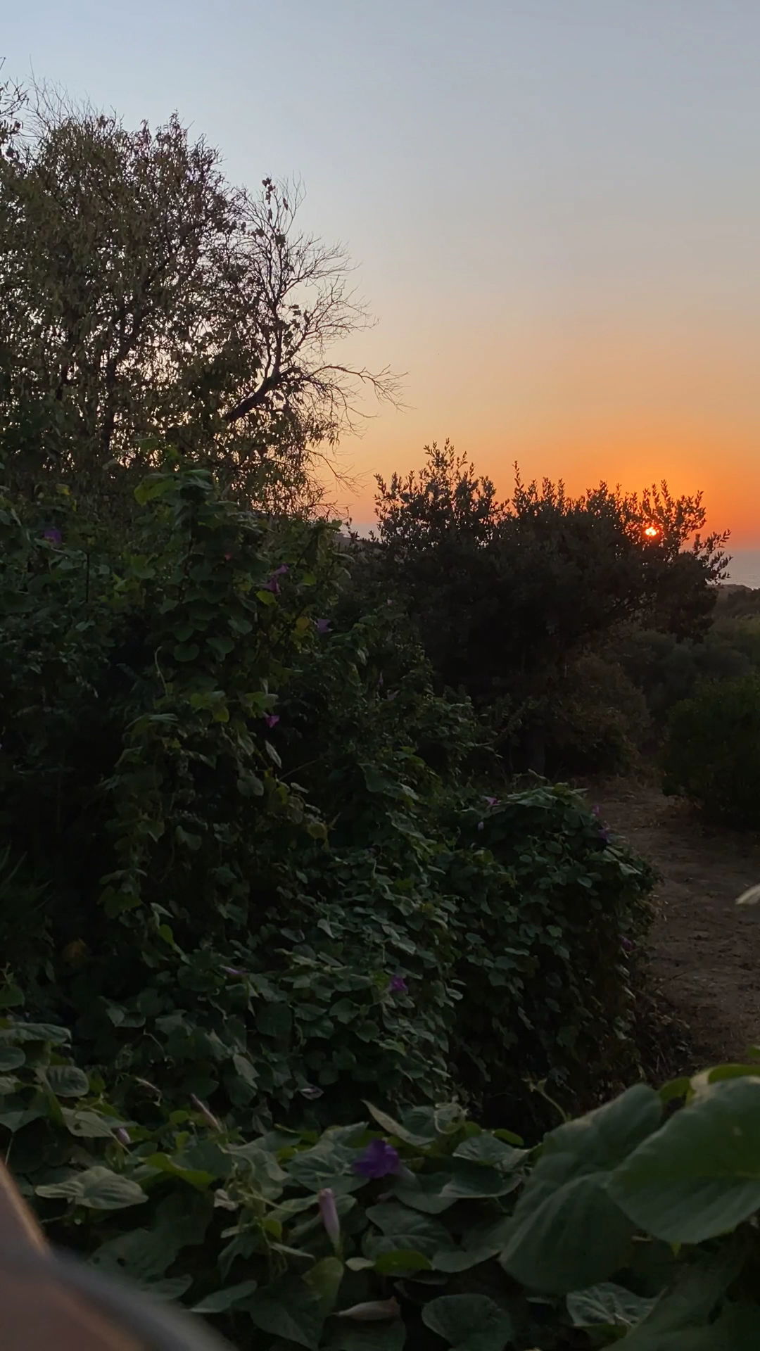 Li̇Mon Gümüşlük Restaurant