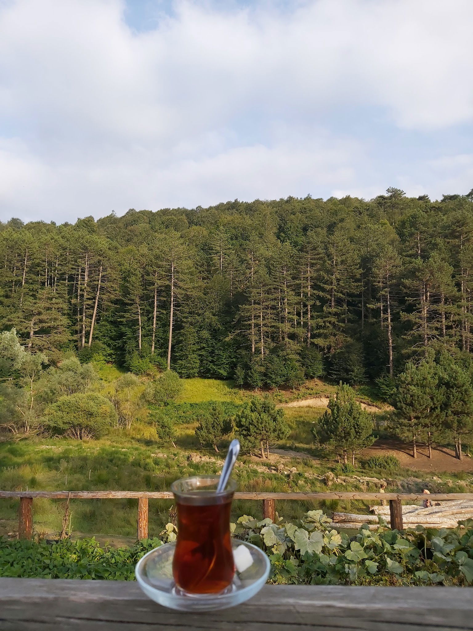 Muhtarın Yeri Kazancı