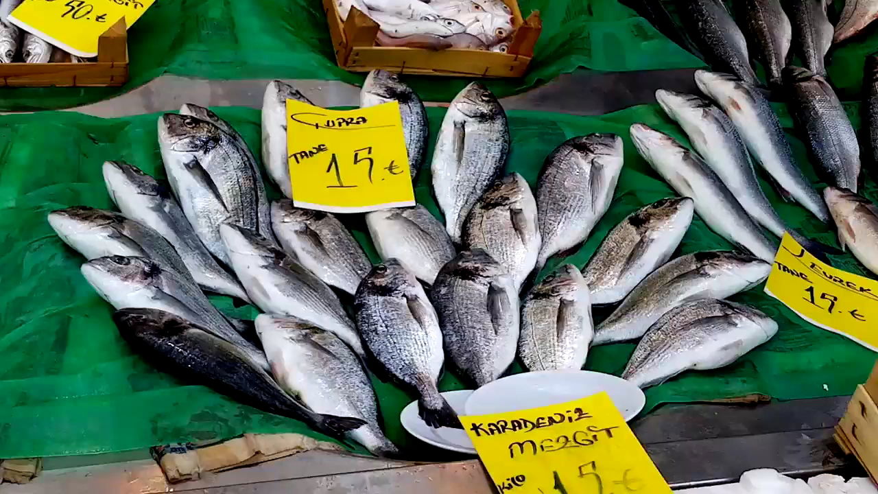 Güven Kısmet Balık-Beykoz Şubesi