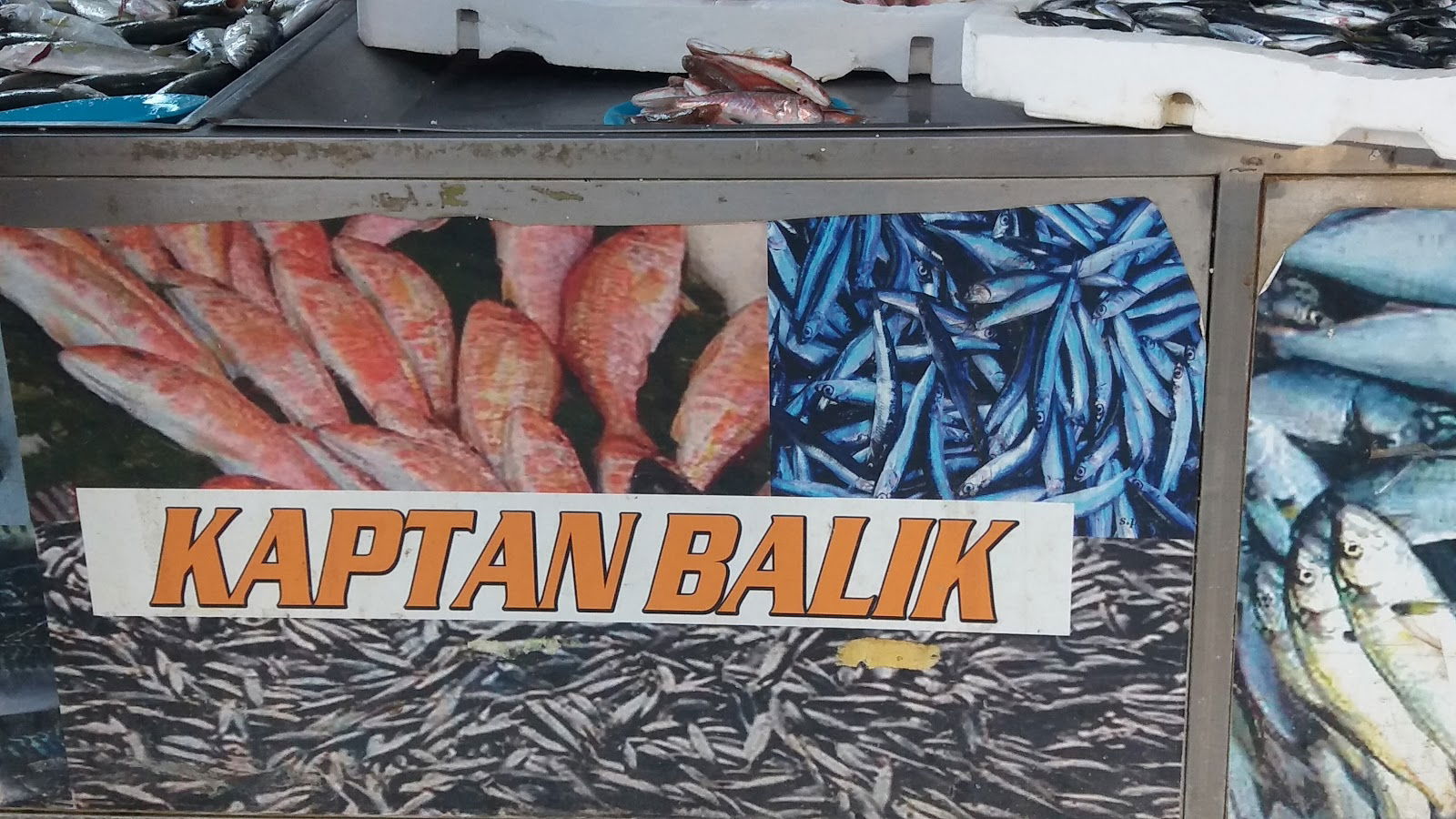 Güven Kısmet Balık-Beykoz Şubesi