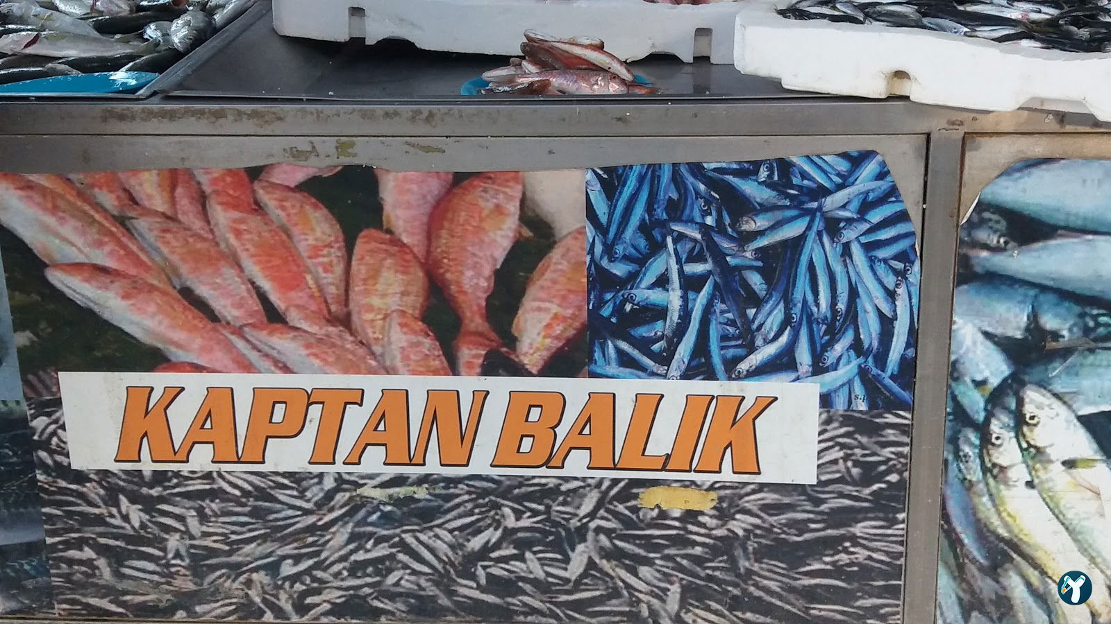 Güven Kısmet Balık-Beykoz Şubesi