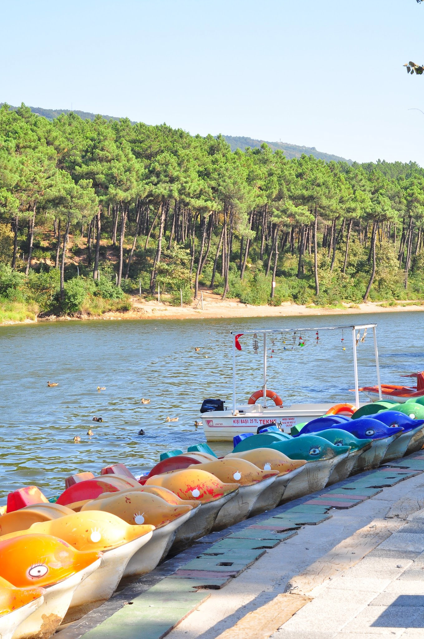 Aydos Orman Göl Kri̇stal