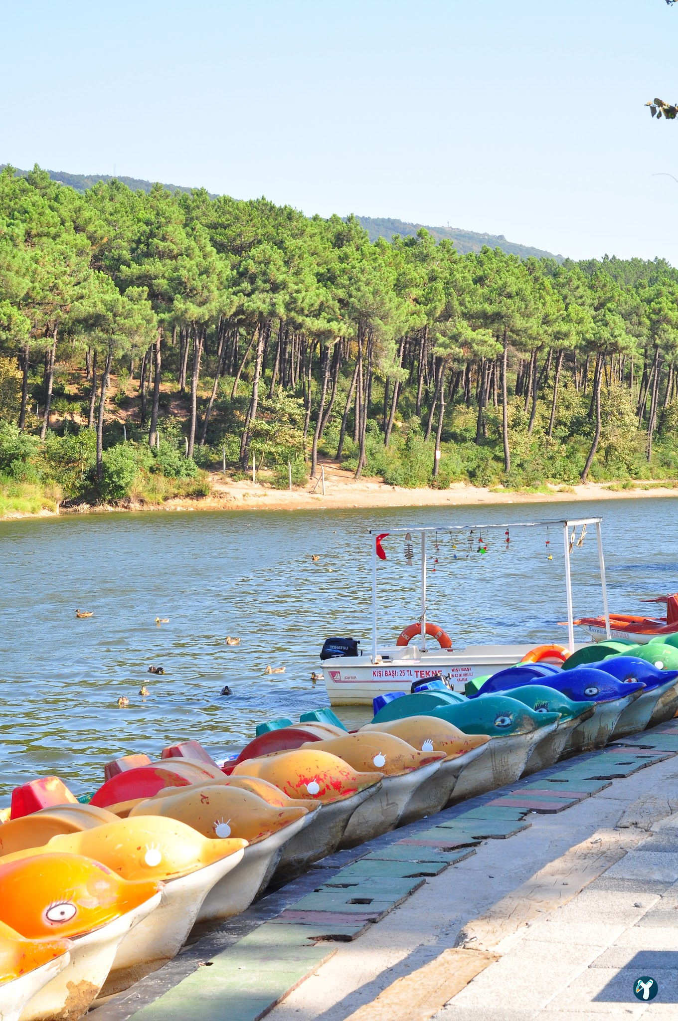 Aydos Orman Göl Kri̇stal
