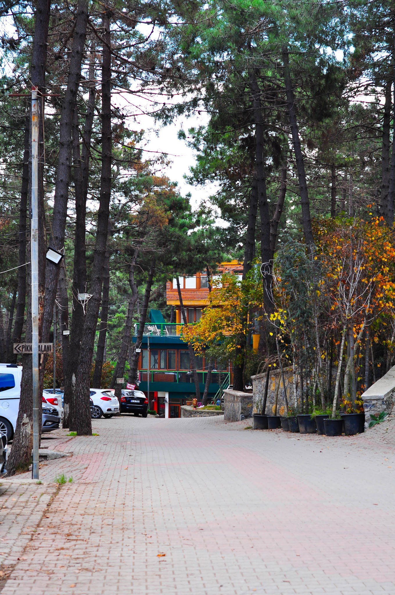 Aydos Orman Göl Kri̇stal