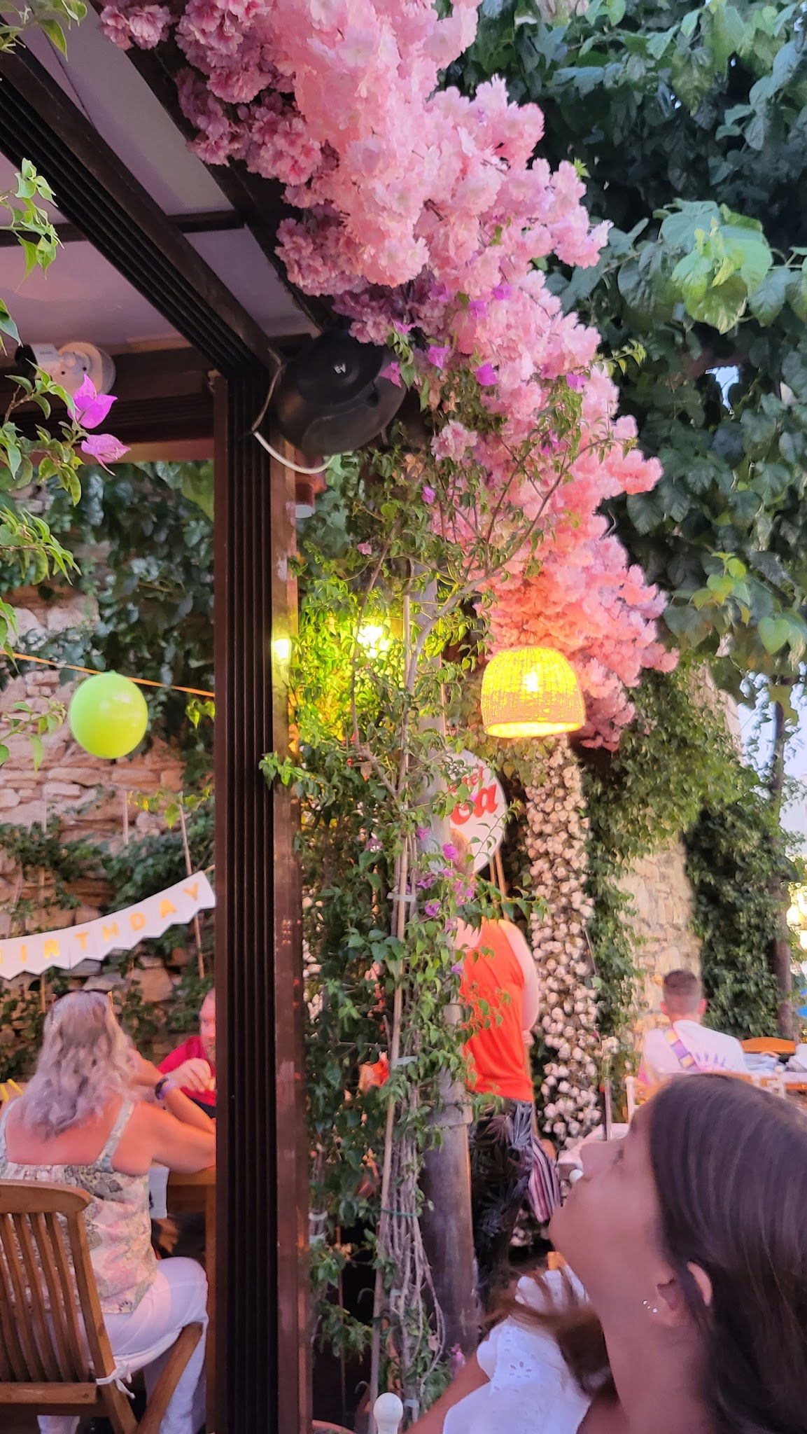 Planet Yucca Live "Entertainment & Dining"