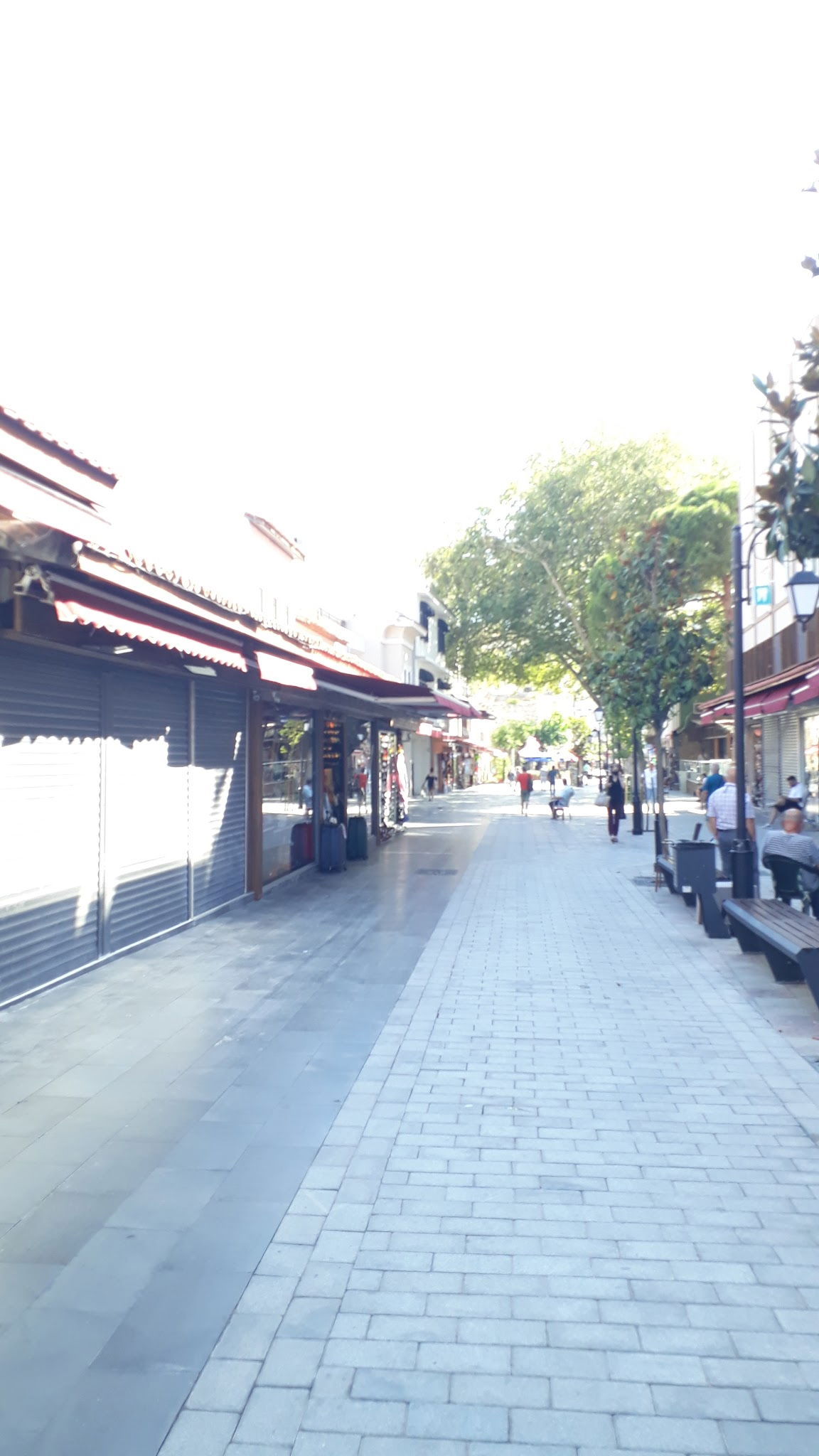 Planet Yucca Live "Entertainment & Dining"