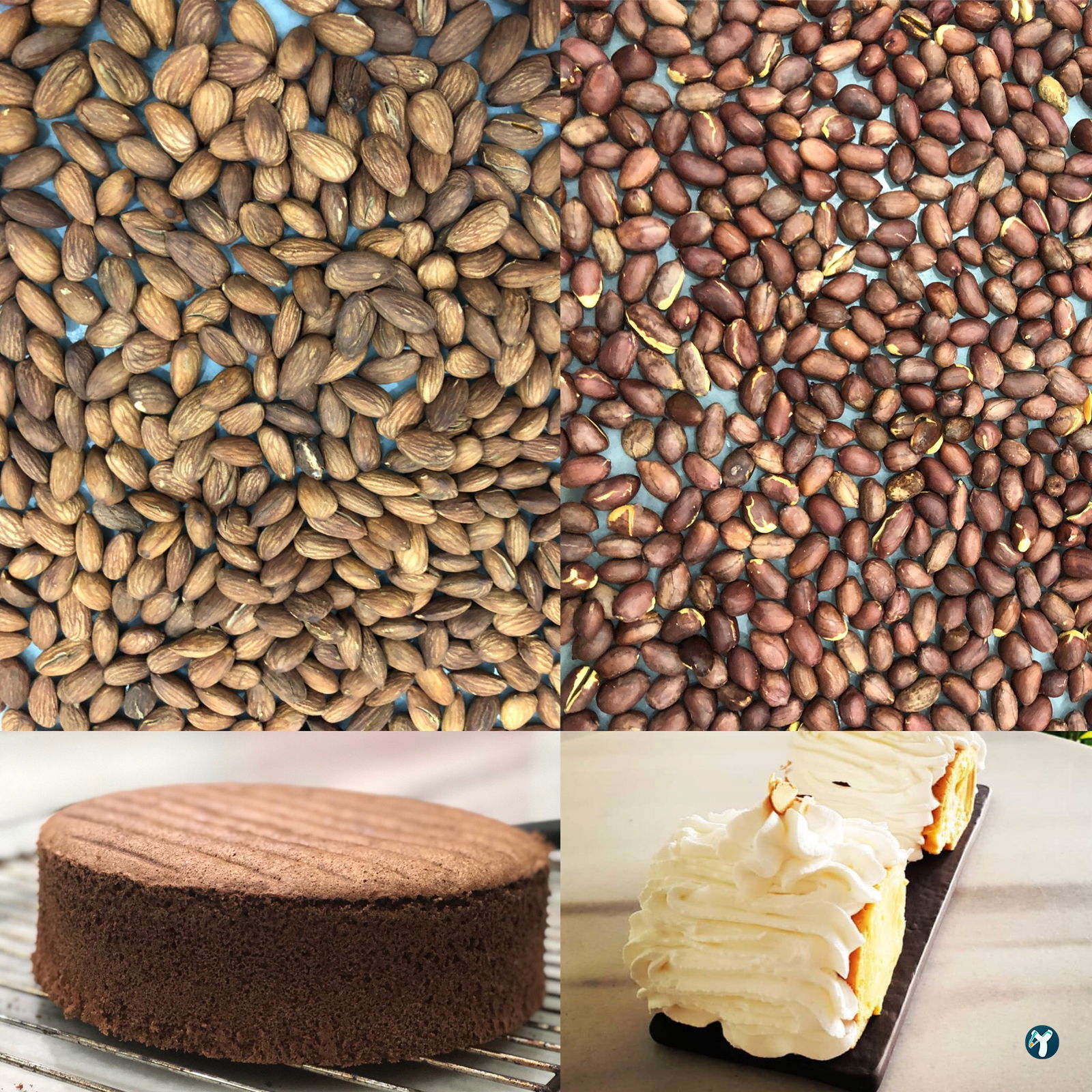Chocolate Station