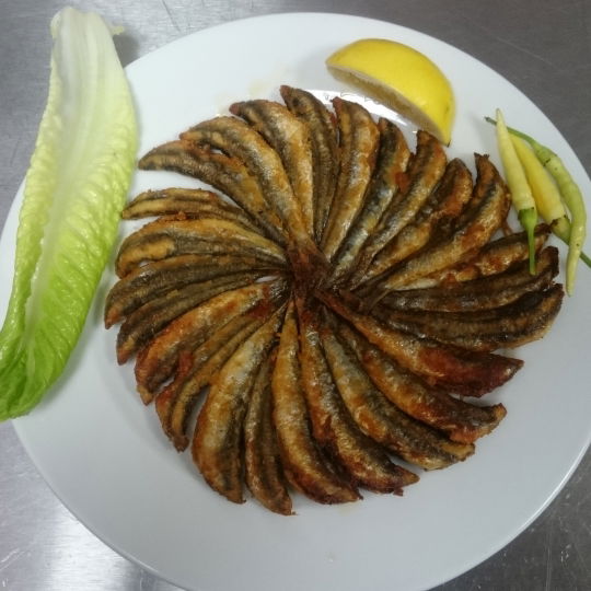 Ayvaz Balık Evi (Çalli Şubesi̇ )