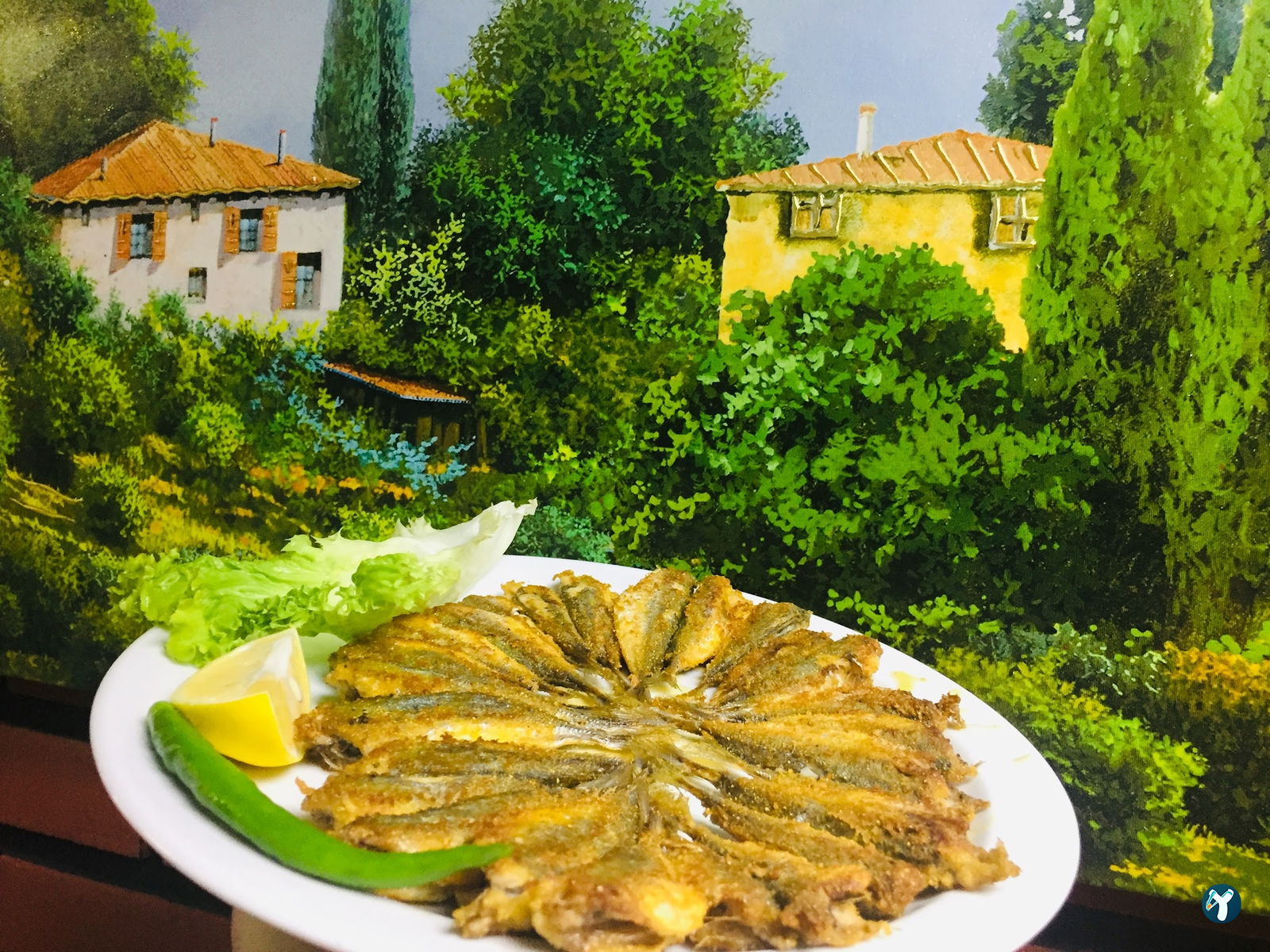 Ayvaz Balık Evi (Çalli Şubesi̇ )