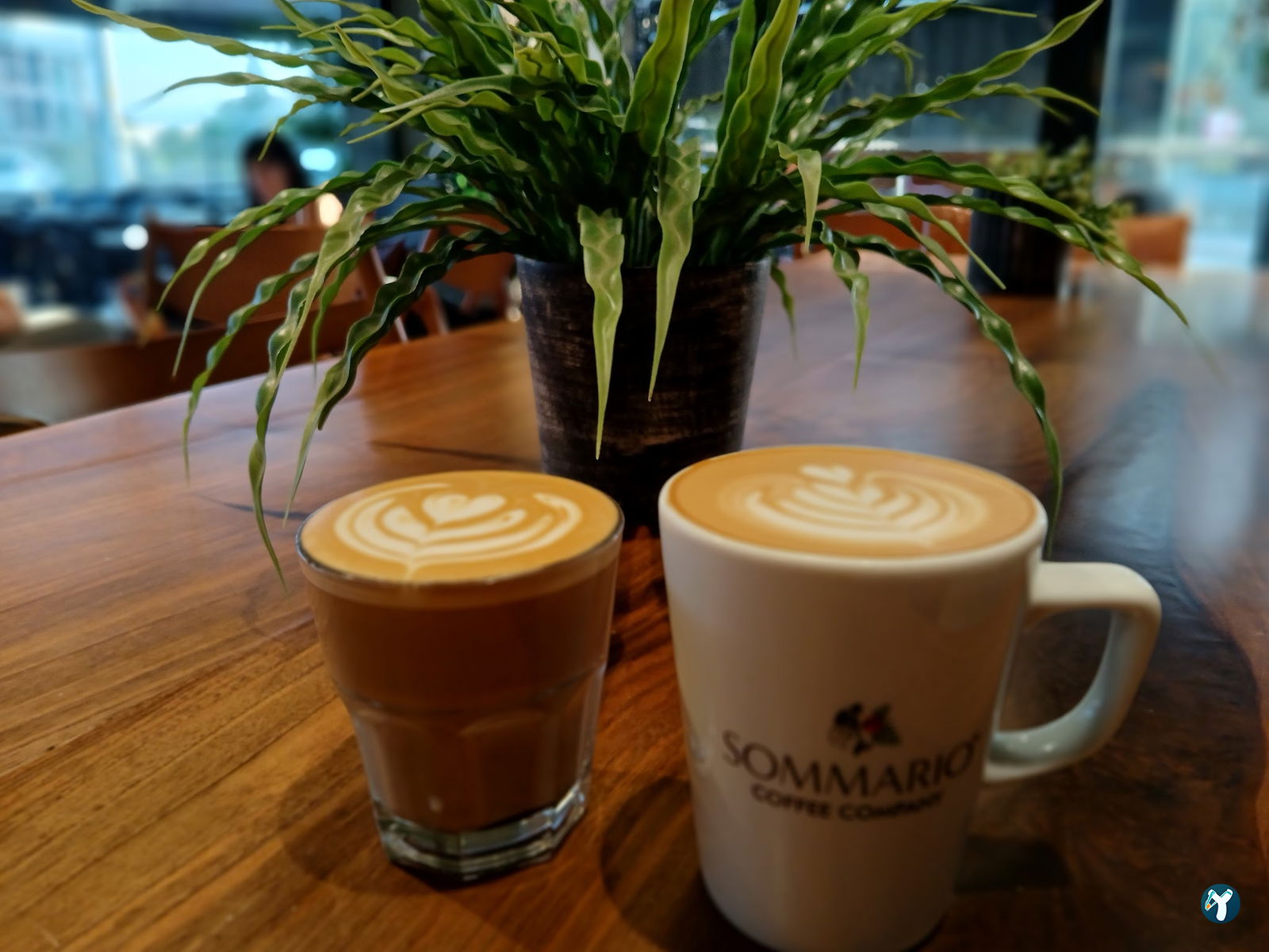 Sommario Coffee Company