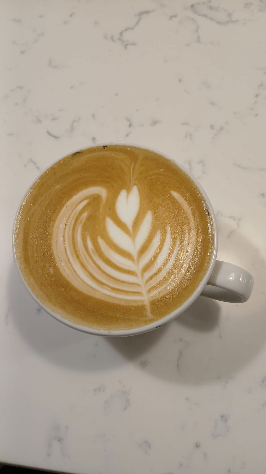 Sommario Coffee Company