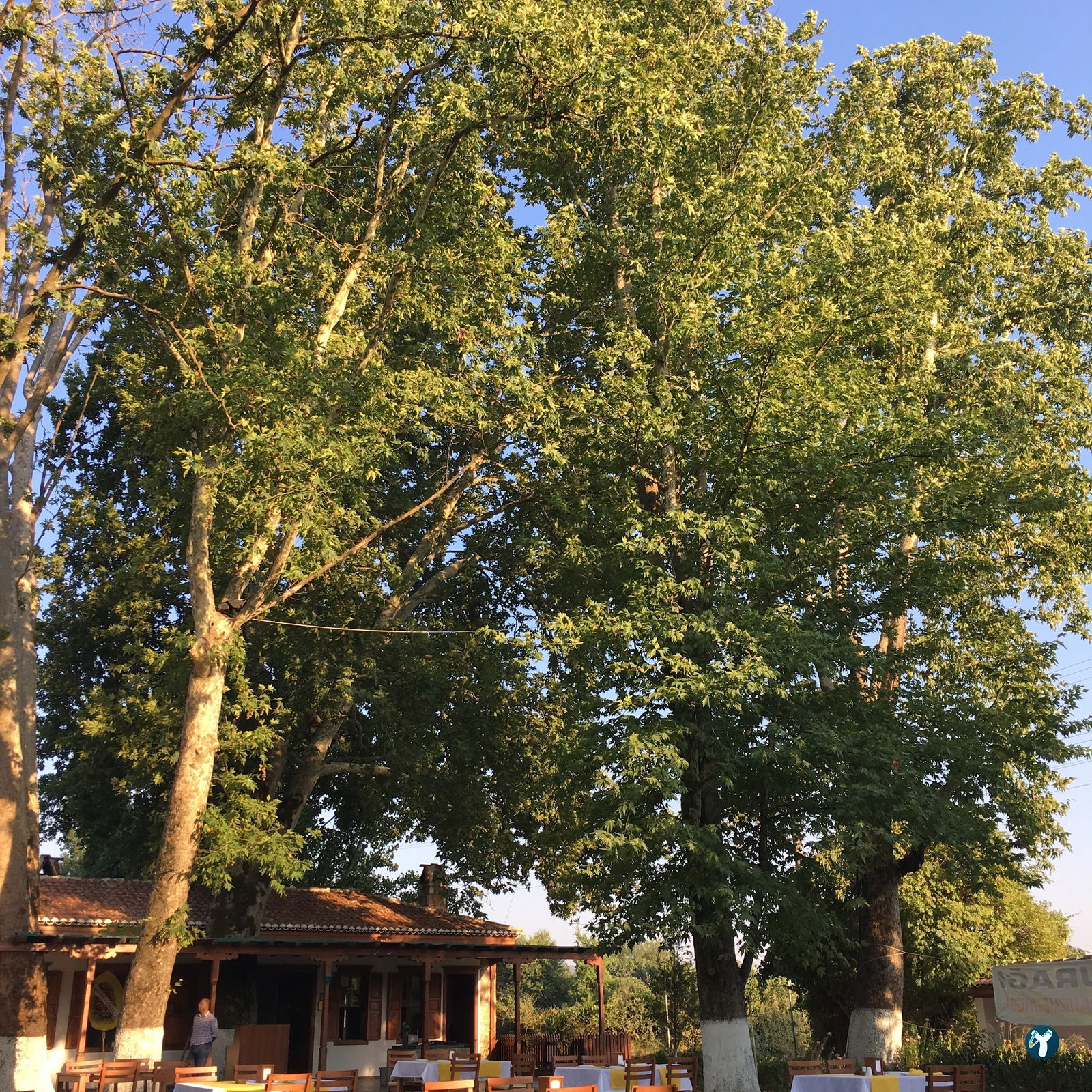 Keyfoturagi Cafe And Restaurant