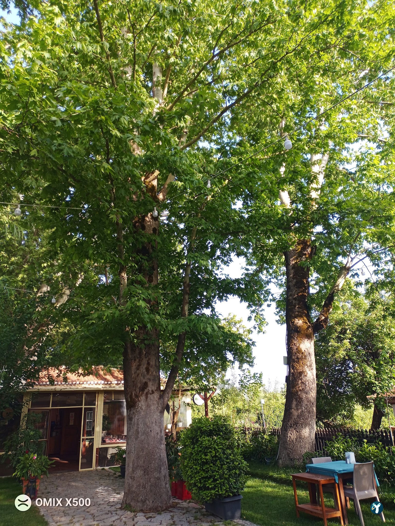 Keyfoturagi Cafe And Restaurant