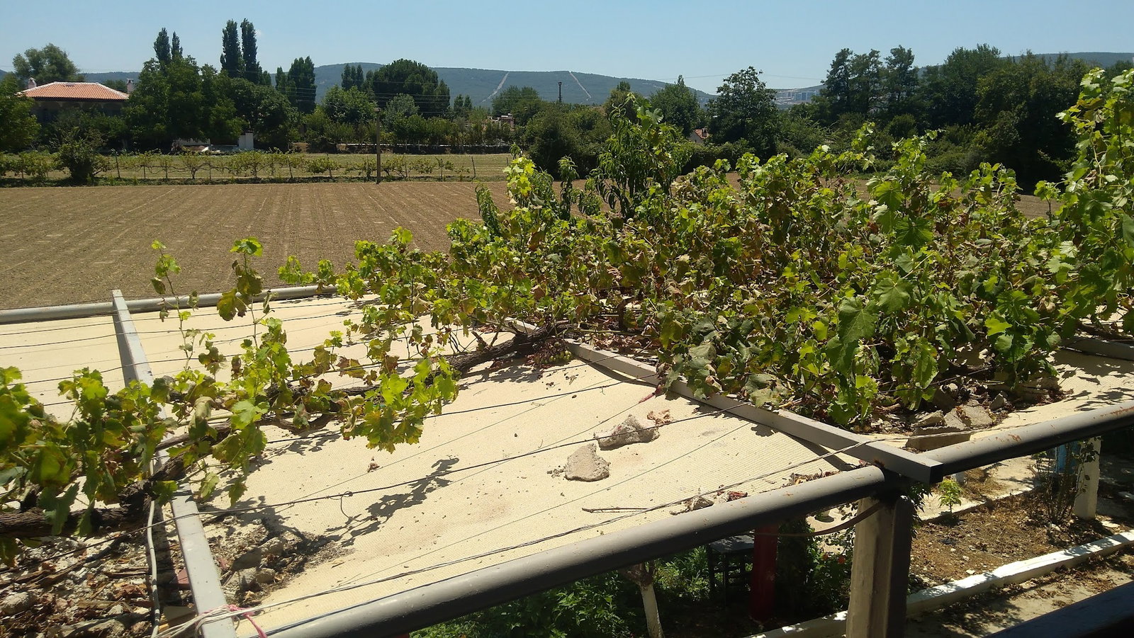 Keyfoturagi Cafe And Restaurant