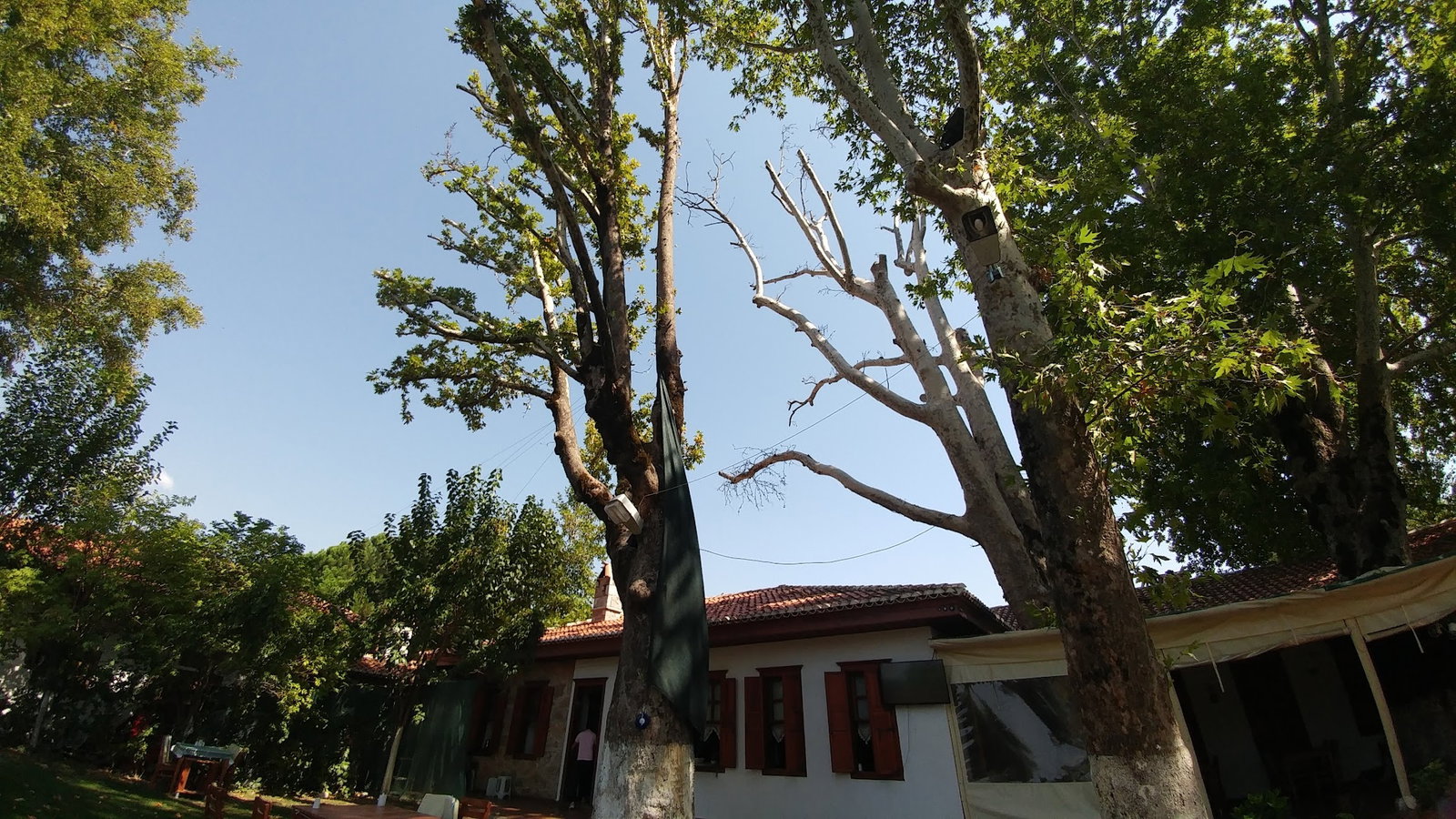Keyfoturagi Cafe And Restaurant