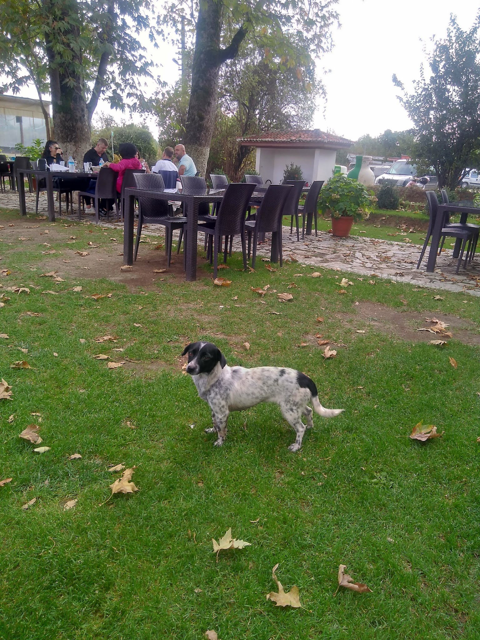 Keyfoturagi Cafe And Restaurant
