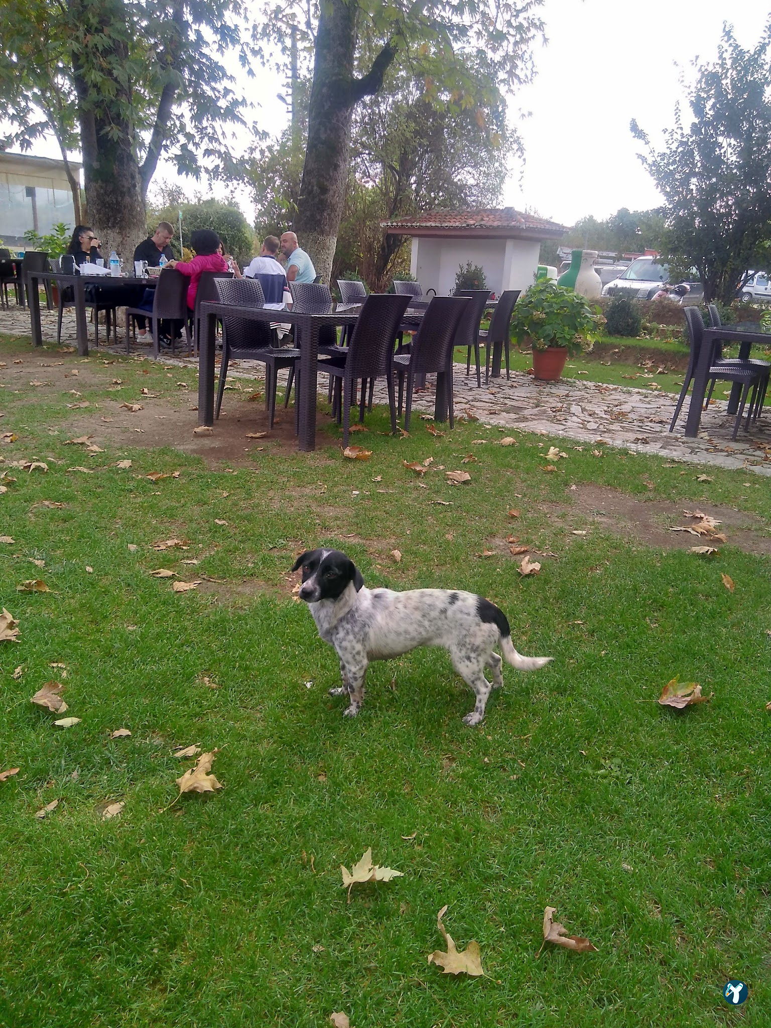 Keyfoturagi Cafe And Restaurant