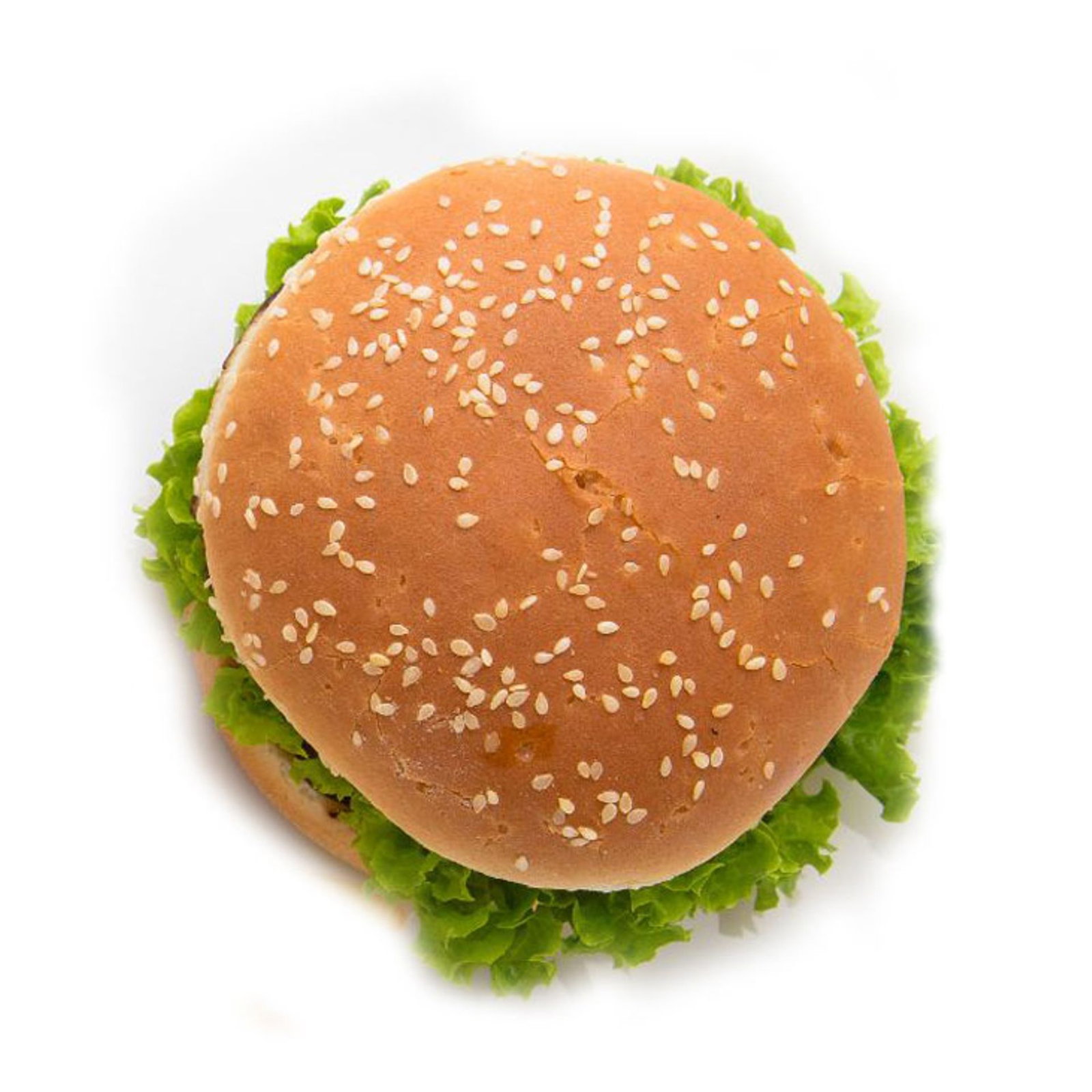 Crispy Burger