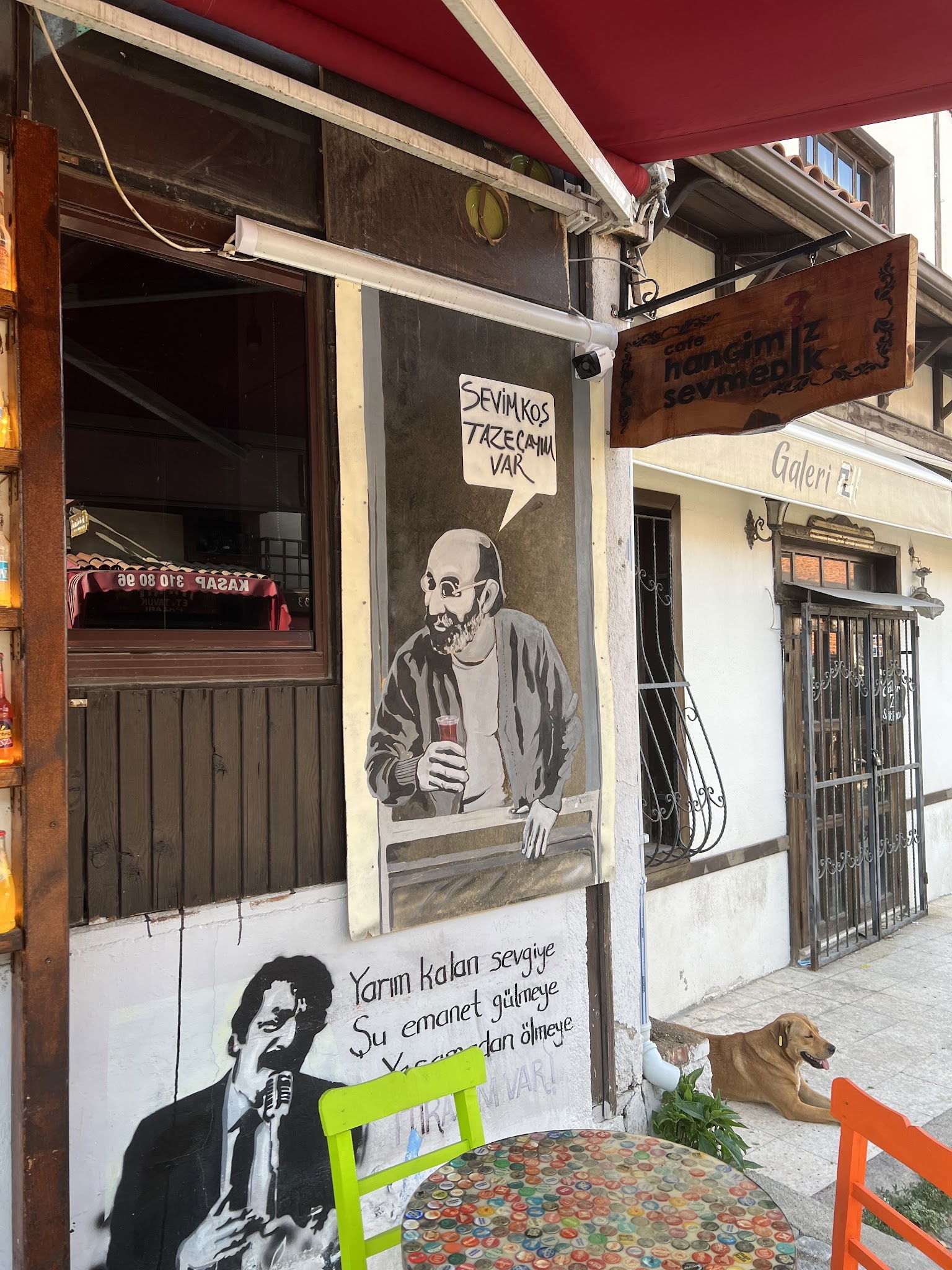 Hangimiz Sevmedik Cafe