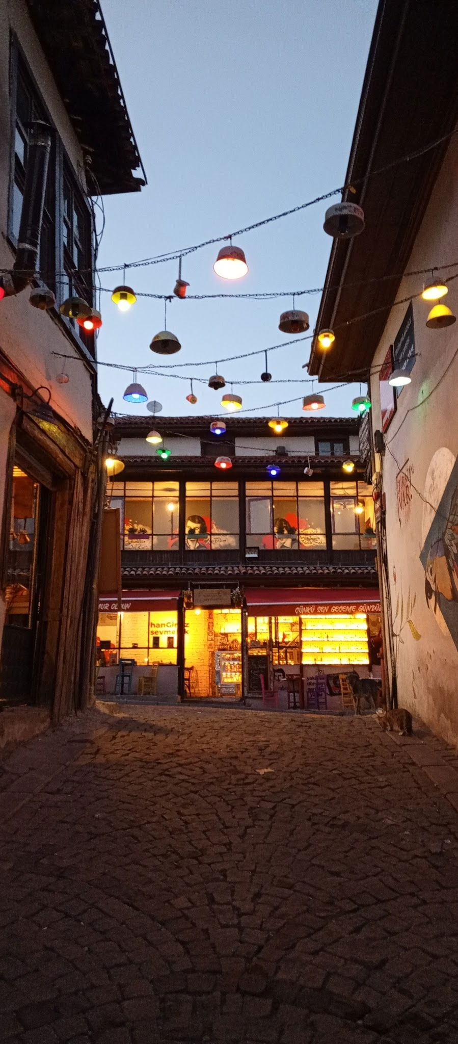 Hangimiz Sevmedik Cafe