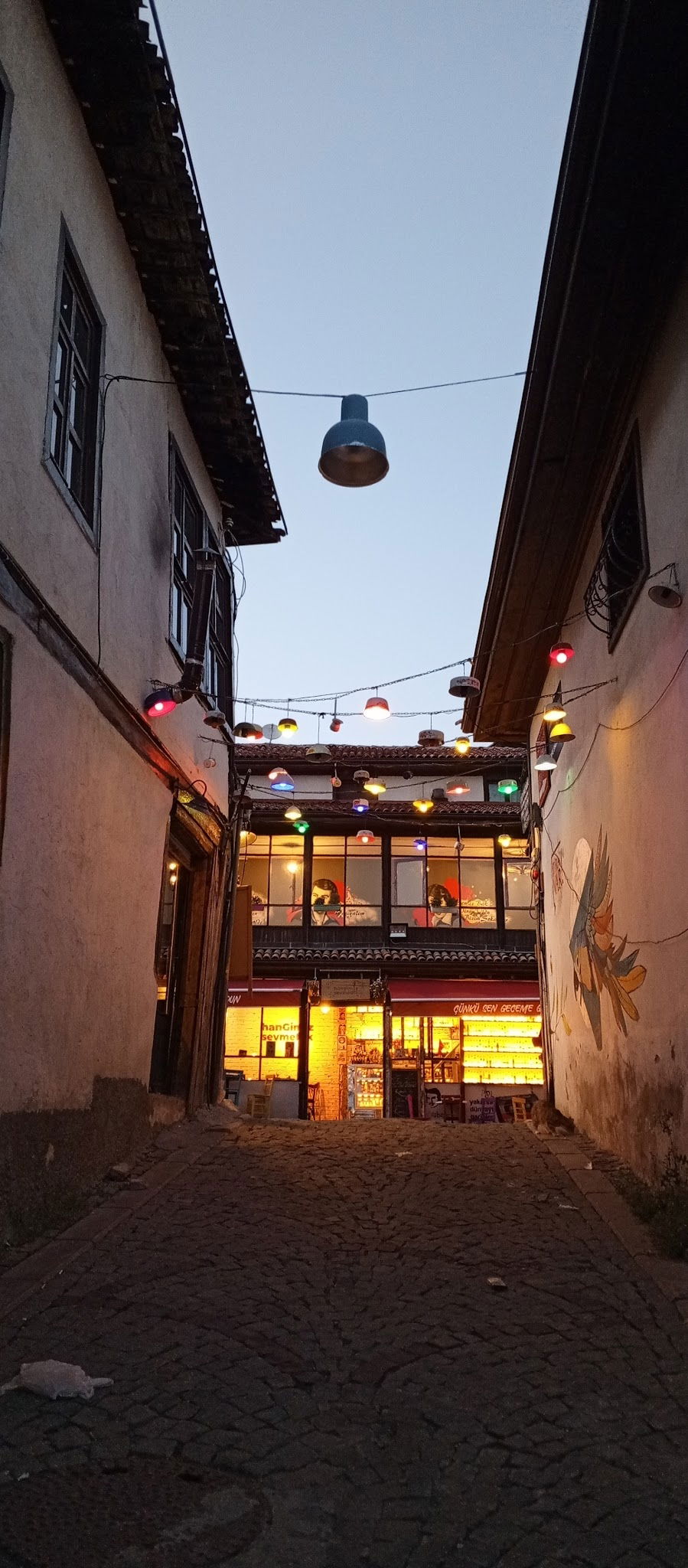 Hangimiz Sevmedik Cafe