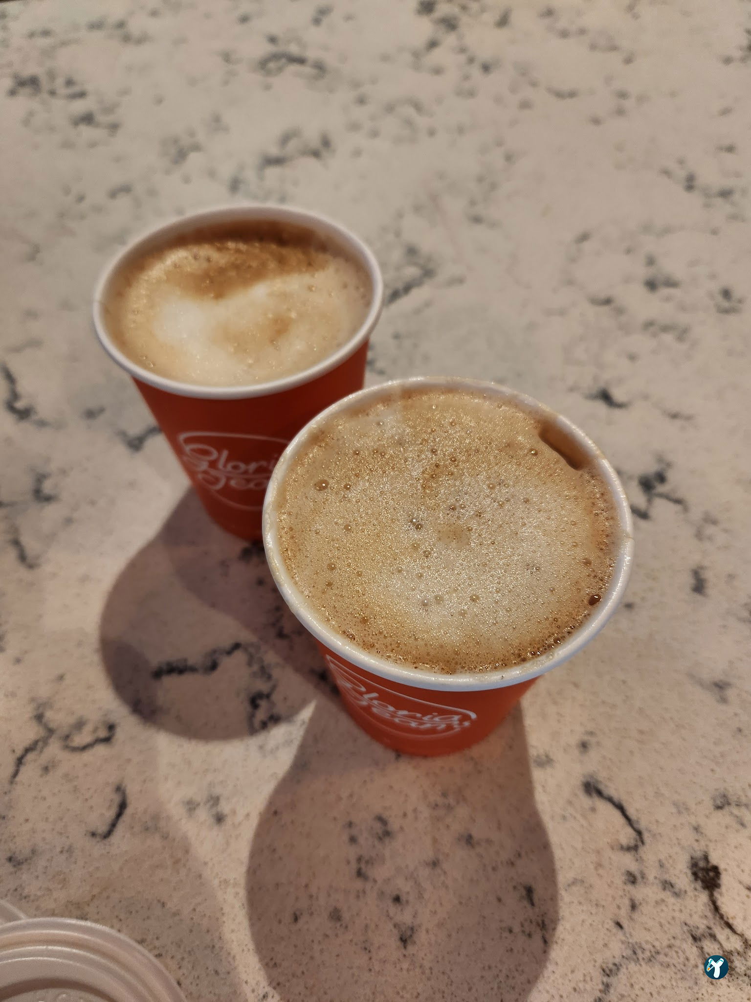 Gloria Jean'S Coffees Asnur