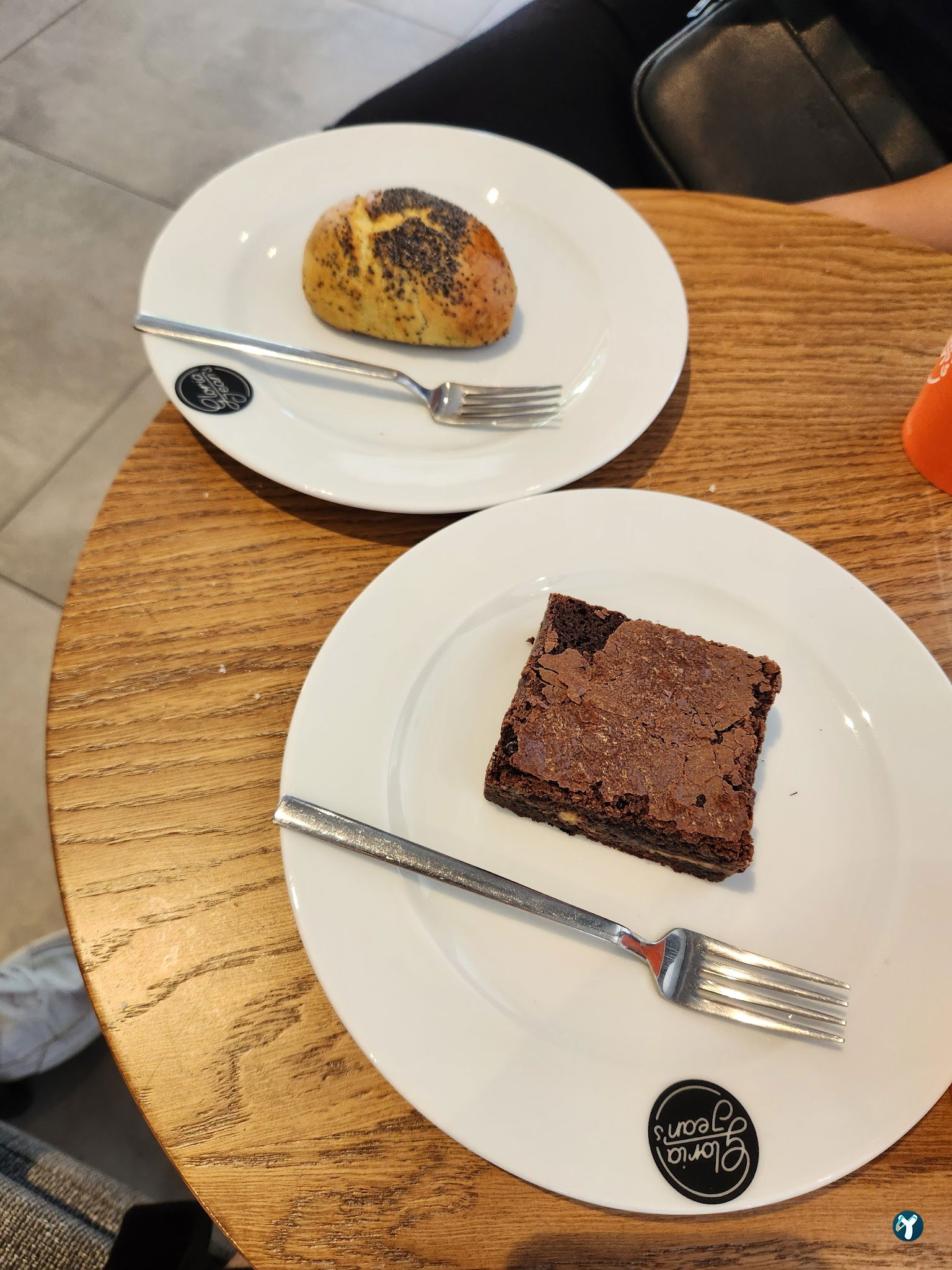 Gloria Jean'S Coffees Asnur