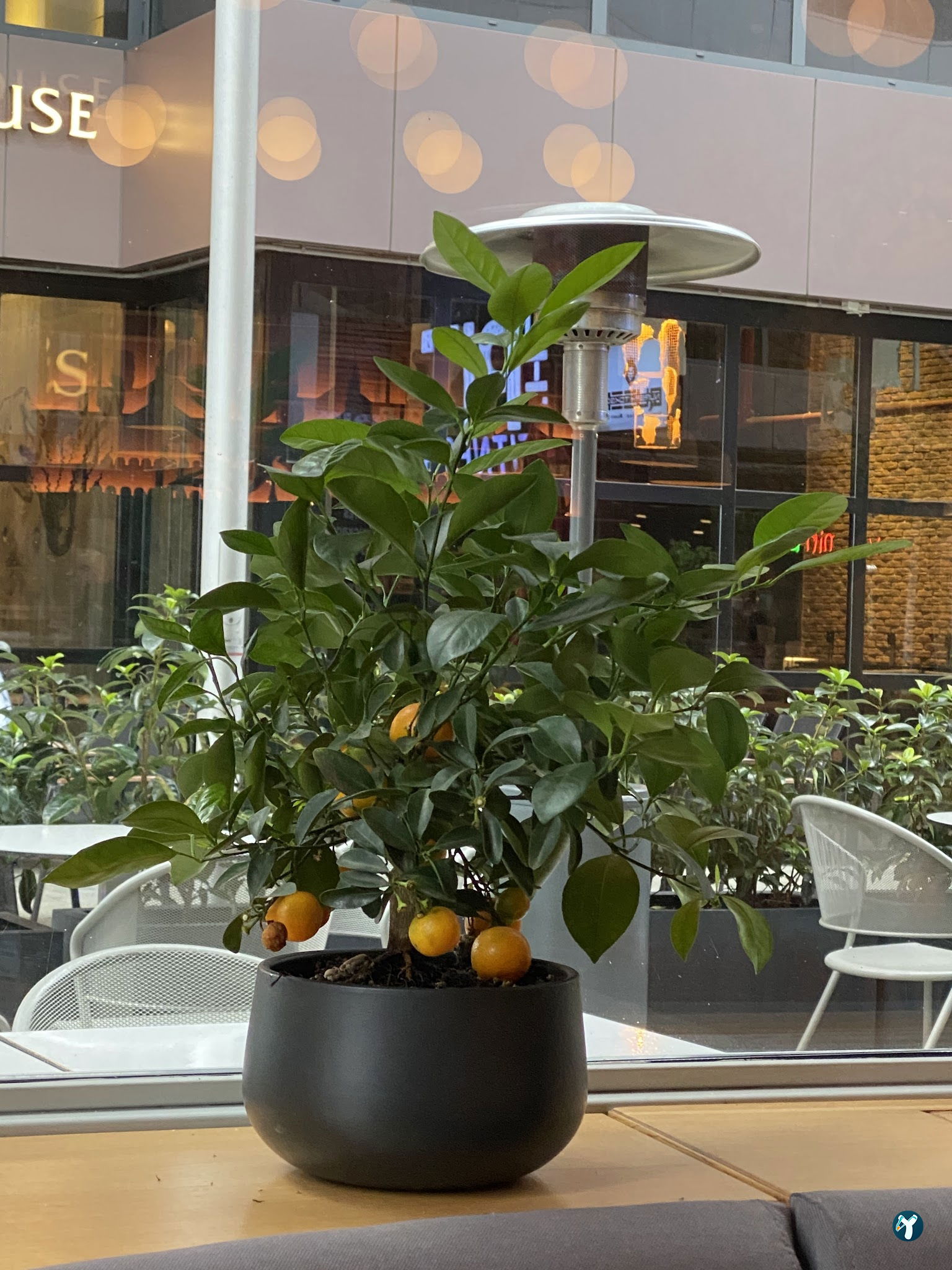 Abi'S Maslak Restaurant