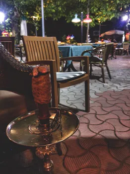 Kültürpark Orman resimleri