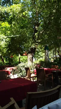 Kültürpark Orman resimleri