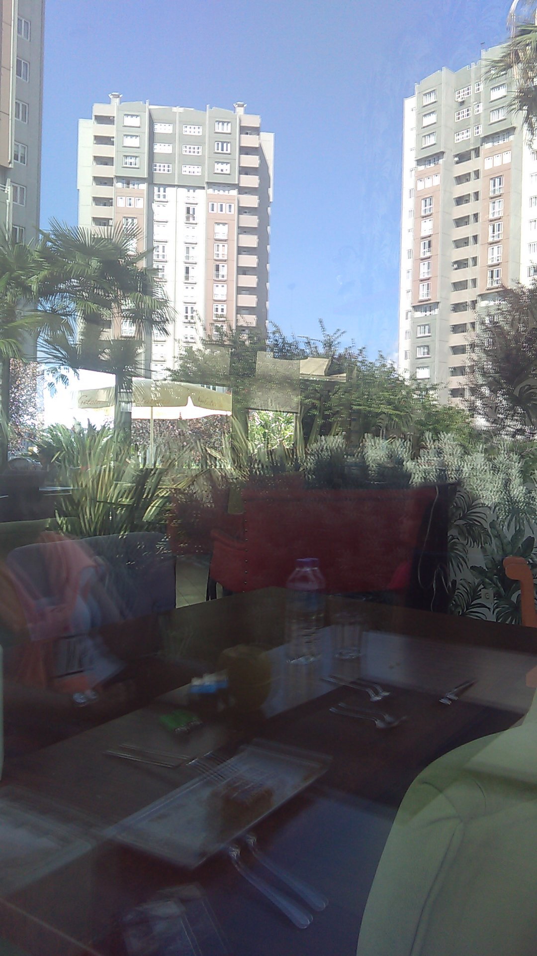 Palmiye Ada Cafe