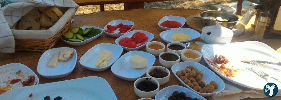 Zeytin Altı Kır Bahçesi