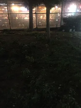 Donanma Aile Çay Bahçesi resimleri