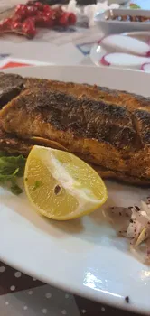 Balıkçı Neco resimleri