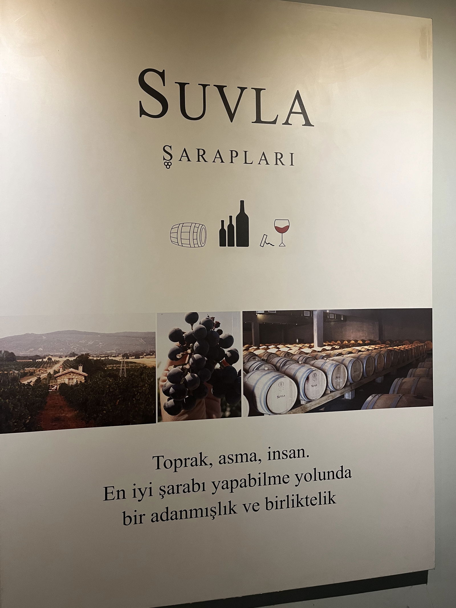 Suvla Winery / Bistro Wine Bar / Wine Shop