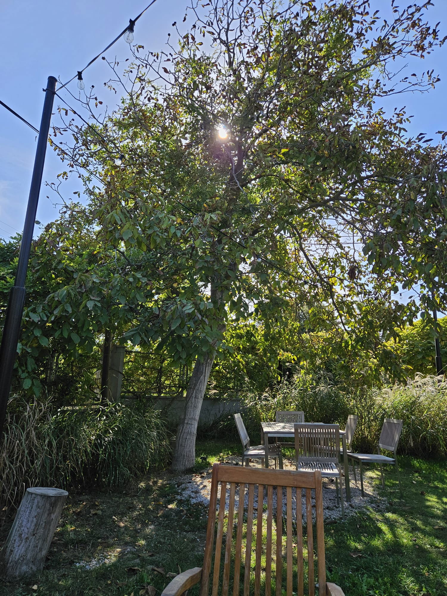 Suvla Winery / Bistro Wine Bar / Wine Shop