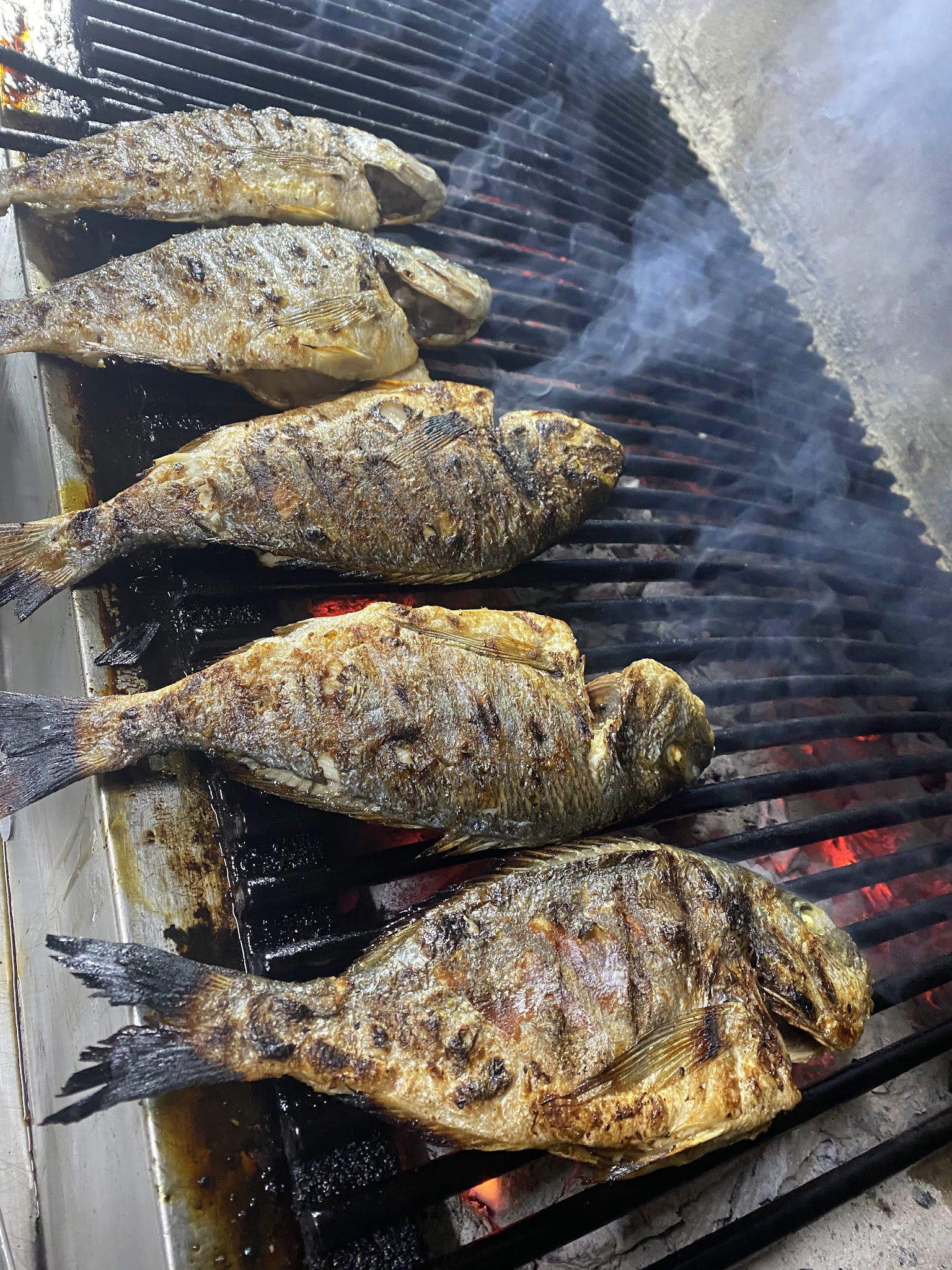 Karaoglan Balıkçılık Buhara