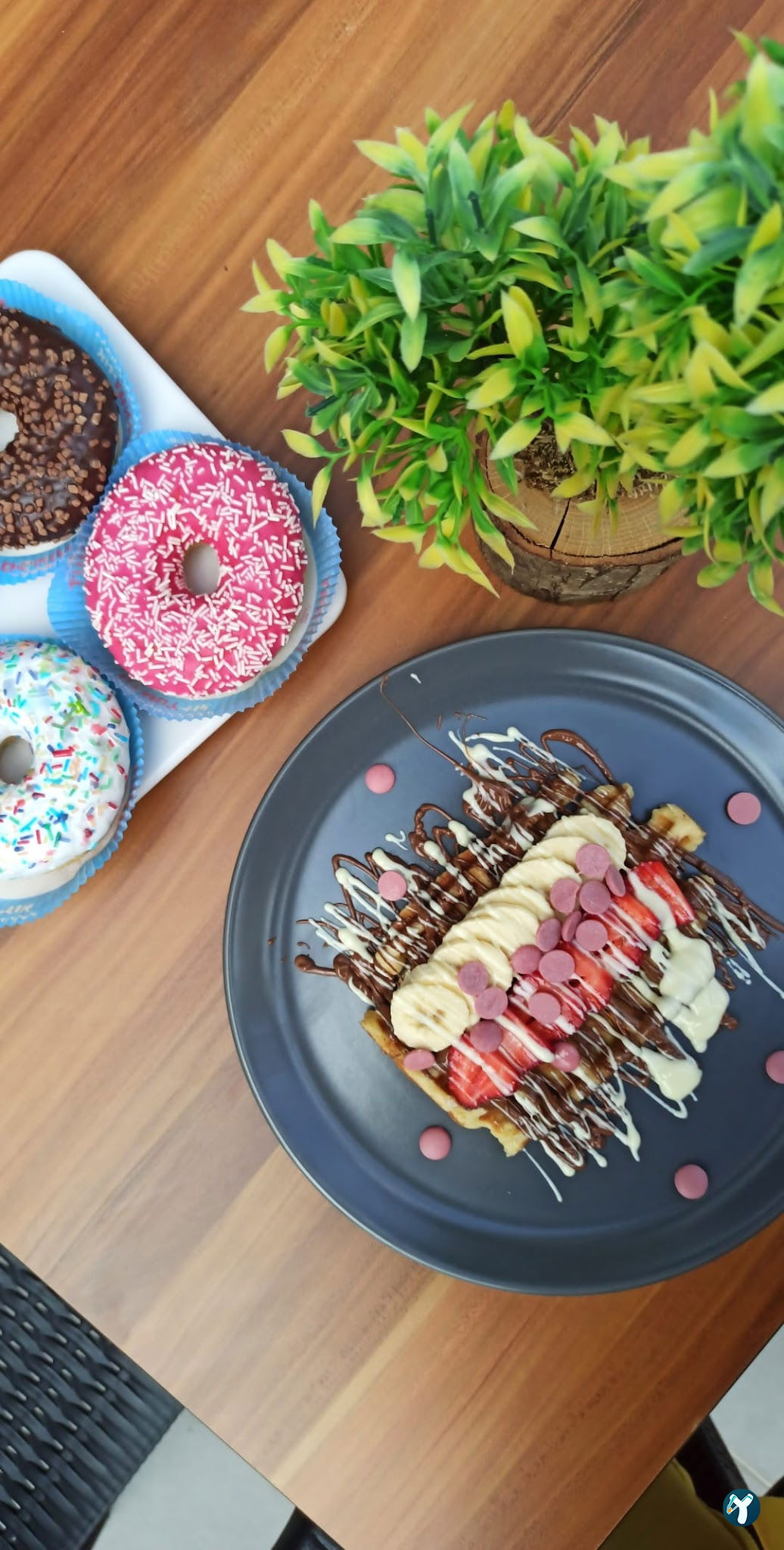 Belgium Waffle Cafe